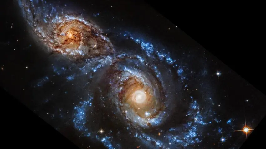 Zanyaran 100,000 Kîlometro dûrî Dinyayê dengê çivîkan tespît kirin